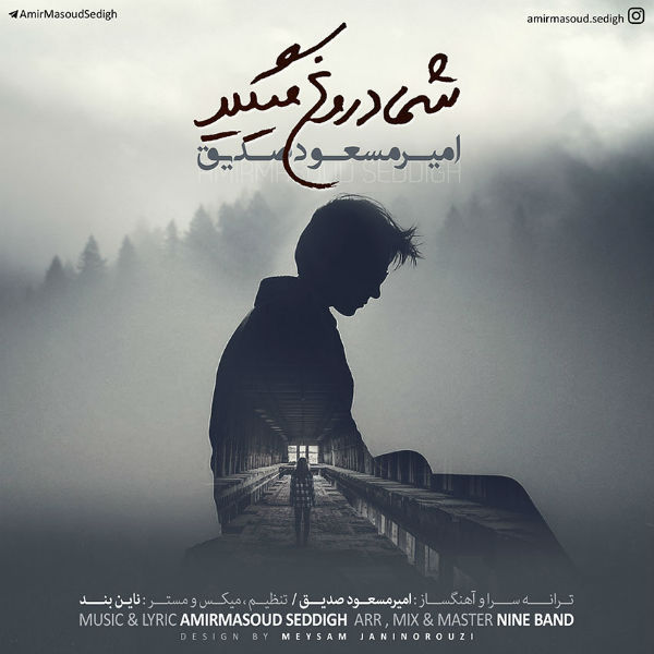 دانلود آهنگ شما دروغ میگید